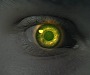 MaRKuS-DJM's Avatar